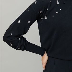 Apparalel Sweater with embellished sleeves